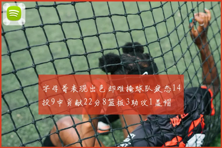 字母哥表现出色却难掩球队疲态14投9中贡献22分8篮板3助攻1盖帽