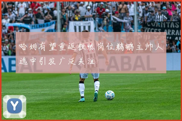 哈姆有望重返教练岗位鹈鹕主帅人选中引发广泛关注