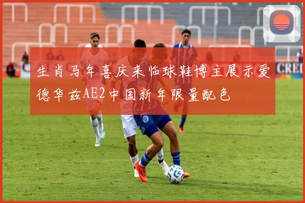 生肖马年喜庆来临球鞋博主展示爱德华兹AE2中国新年限量配色